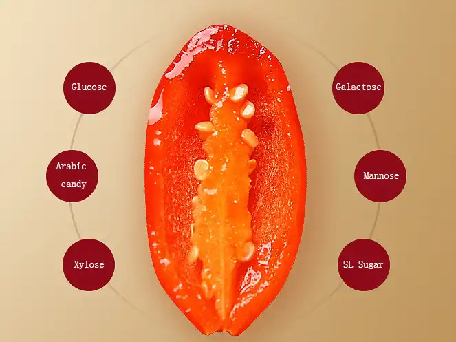 Goji Berry Extract Powder.jpg